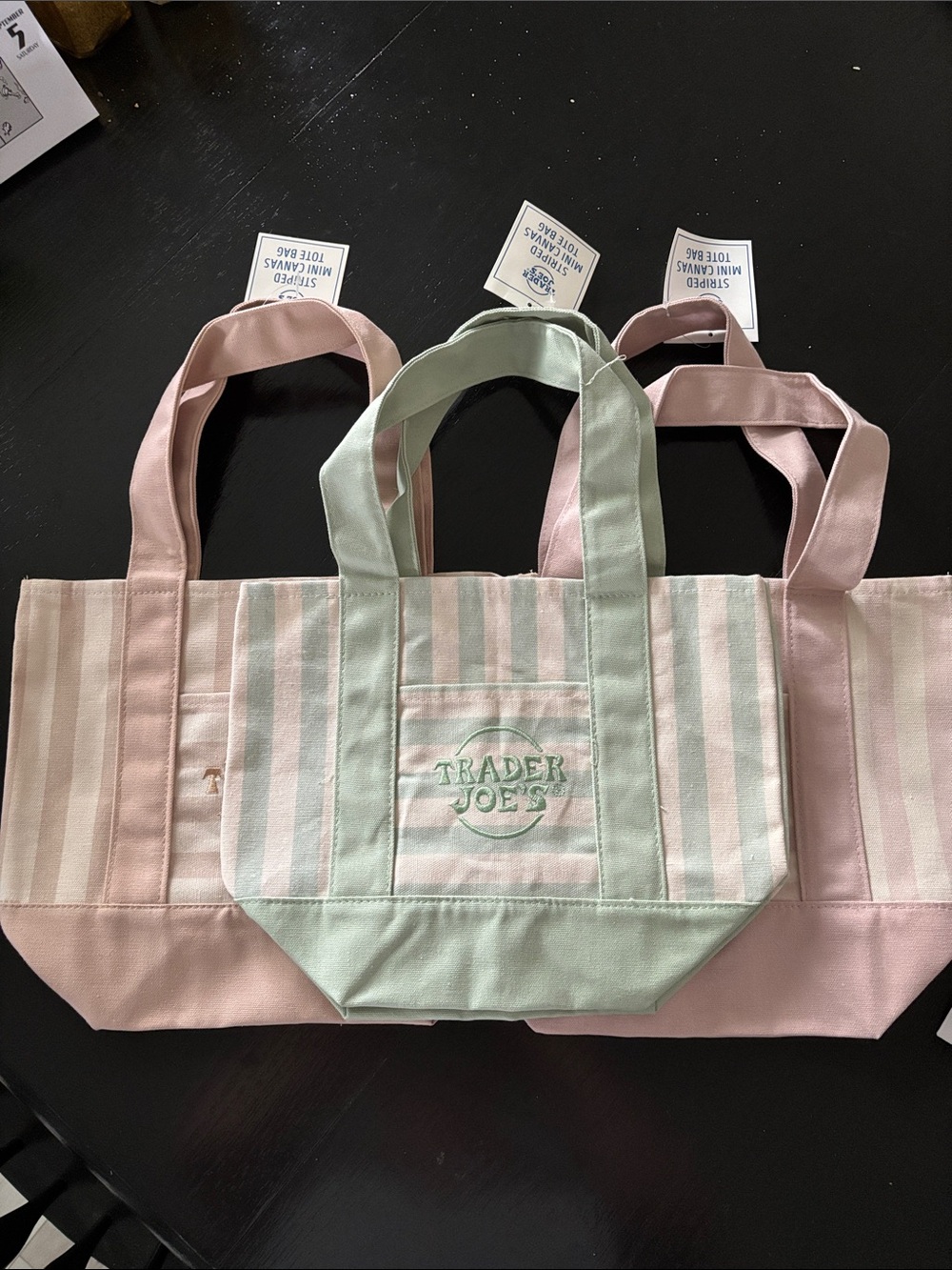 Trader Joe's Pastel Stripe Canvas Tote - Pink & Mint